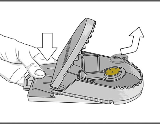 Swiss Inno Super Rattenfalle