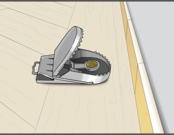 Swiss Inno Super Rattenfalle