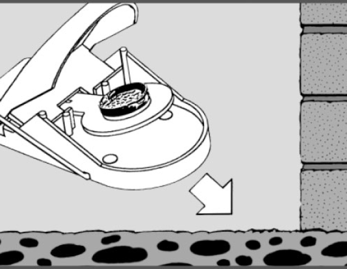 Swiss Inno Super Cat Mausefalle ein Paar