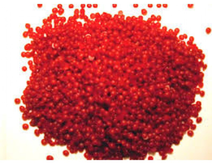 REBWACHS WF Veredelungswachs 2kg