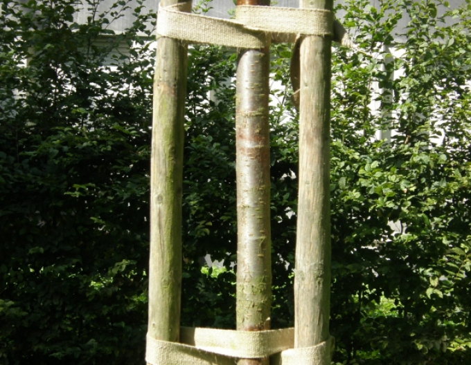 Baumband Breite 35mm - Meter