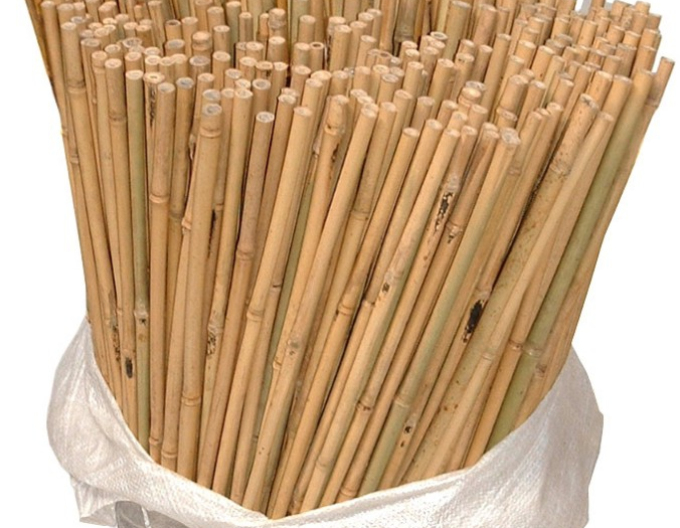 Bambusstab 150cm 14/16