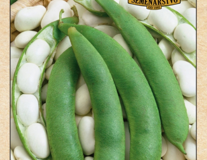 Seed Farm Scharlachrote Bohnen - der Patient Kontra