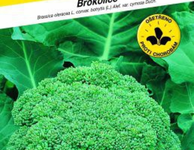 Semo Brokkoli Calabresse