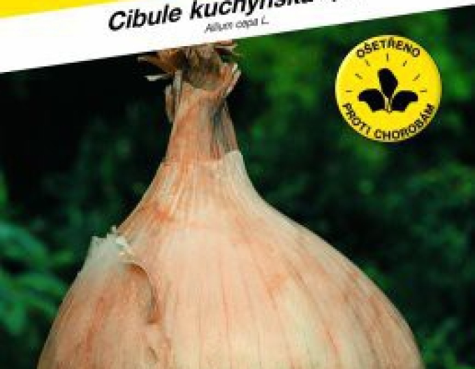 Semo Frühlingszwiebel Globo