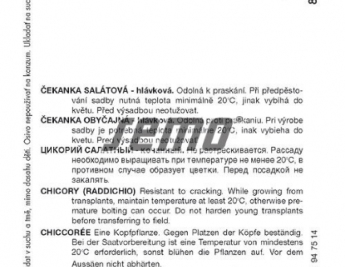 Semo Chicorée Palla Rossa 3