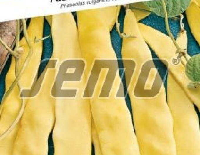 Semo Stangenbohne Meraviglia Di Venezia