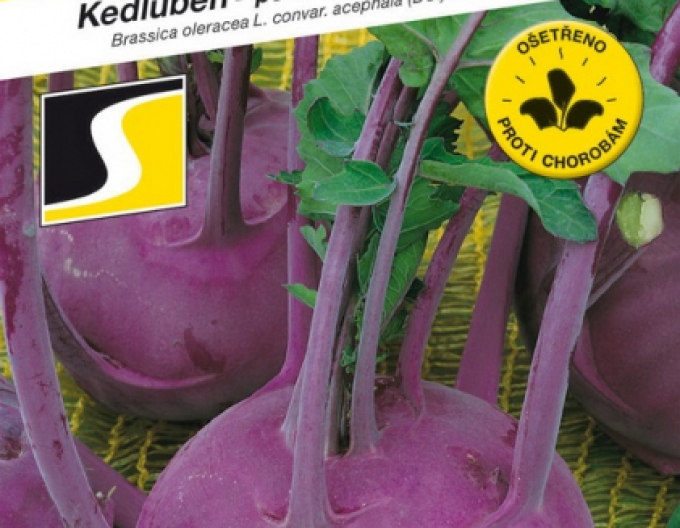 Kaleraba-Samen Purpuran F1