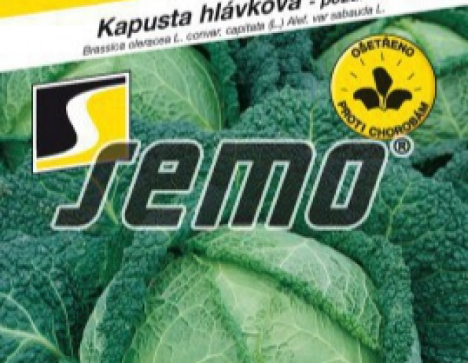 Semo Wirsing Vertus 2