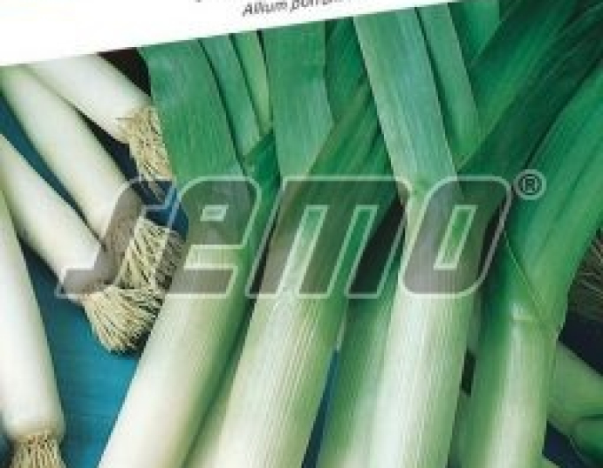 Semo Lauch Gigante Suizo