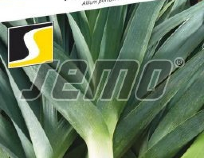 Semo Porree Odrín F1