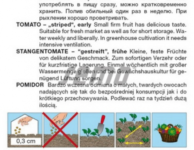 Semo Stabtomate Tigrino
