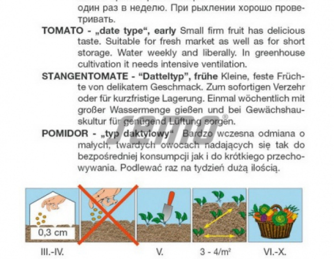 Semo Stabtomate Valdo