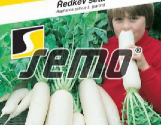 Semo Radieschen Japana F1