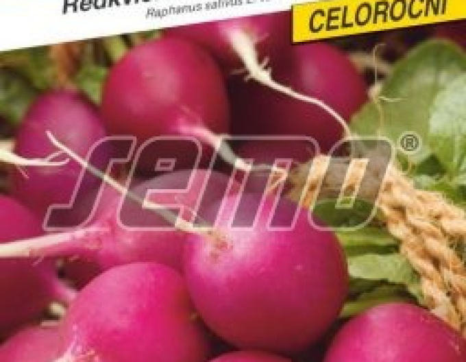 Semo Rettich lila Lilana