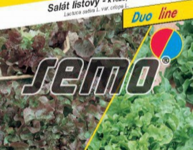 Saatgut Kopfsalat Bowl mix (Blattsalat)