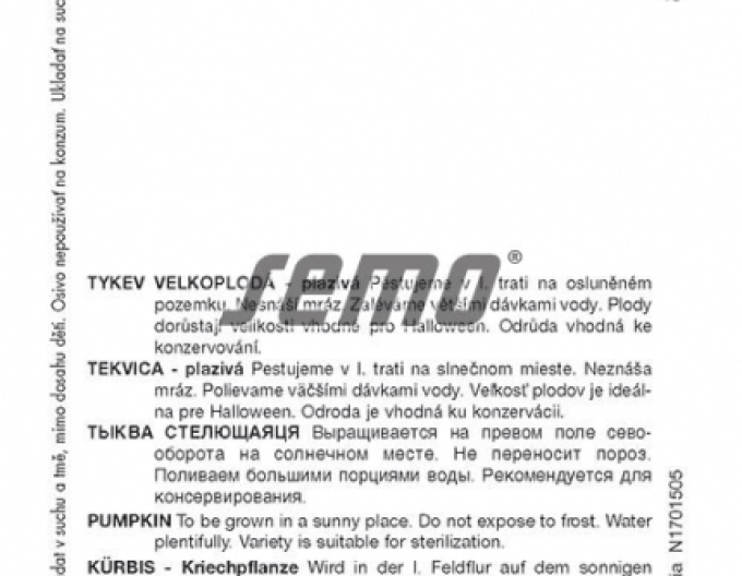 Semo Riesenkürbis Gran Gigante