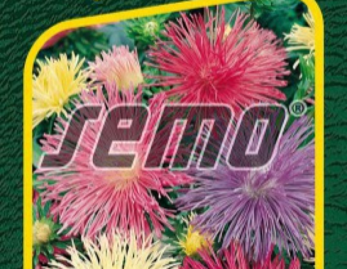 Semo Sommeraster Elektrische Mix