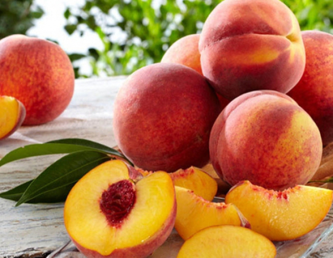 Pfirsich Flamingo, wurzelnackt