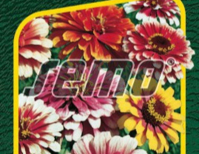 Semo Zinnie Carousel