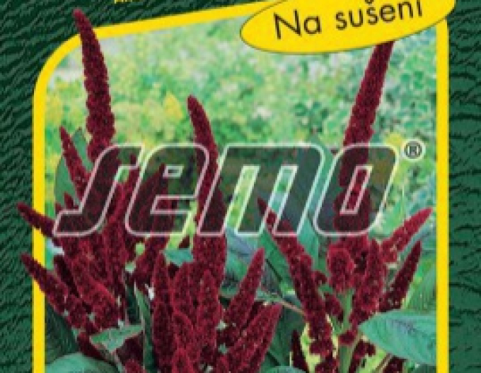 Semo Amaranth Pygmy Torch