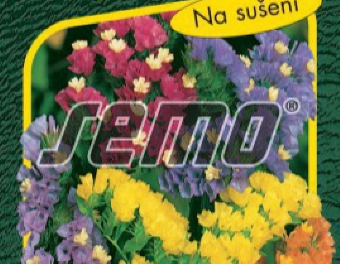 Semo Limonium Mix