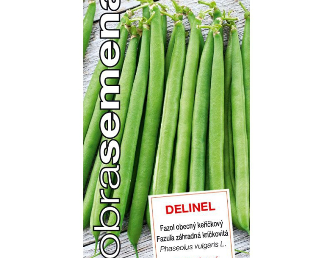 Dobrá semená Buschbohne Delinel