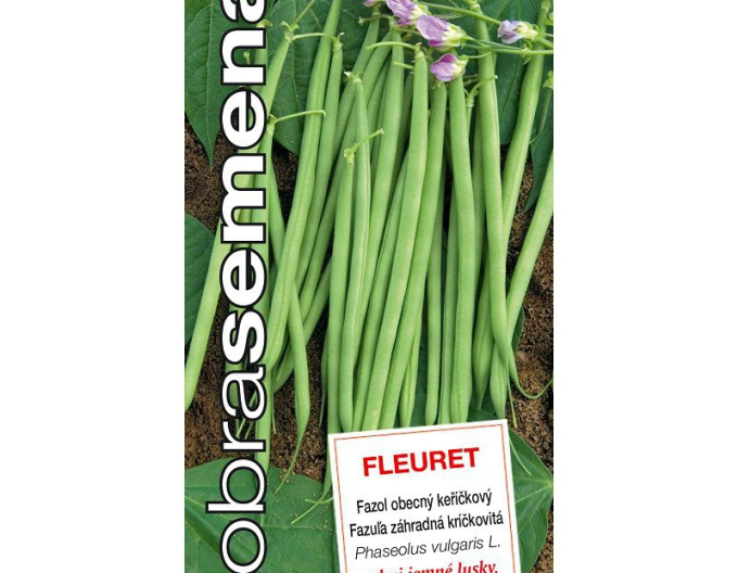 Dobrá semená Buschbohne Fleuret
