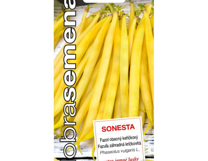 Dobrá semená Buschbohne Sonesta