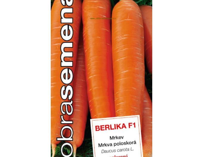 Dobrá semená Karotte Berlika F1
