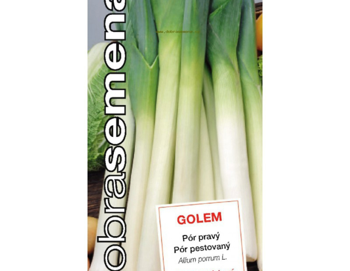 Dobrá semená Lauch  Golem