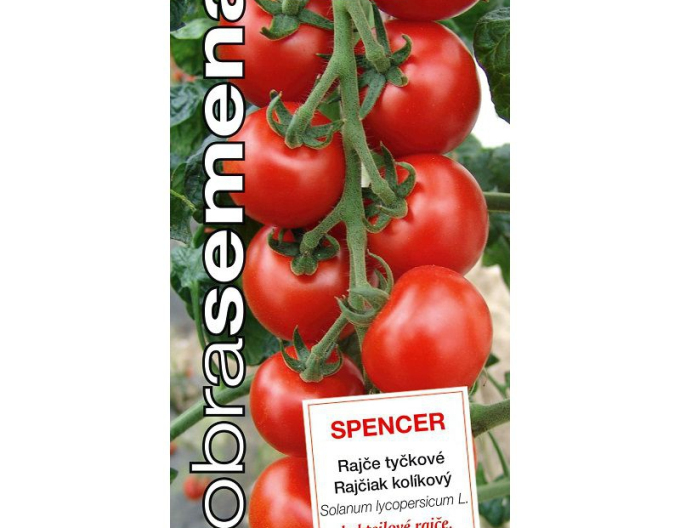 Dobrá semená Buschtomate Spencer