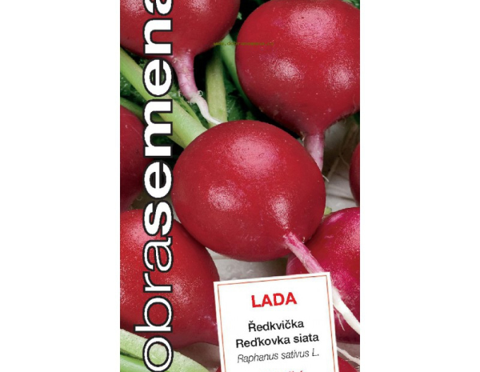 Dobrá semená Radieschen Lada