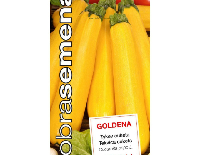 Dobrá semená Zucchini Goldena