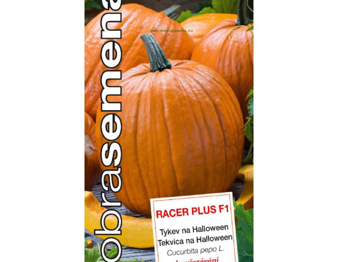 Dobrá semená Riesenkürbis Racer Plus F1