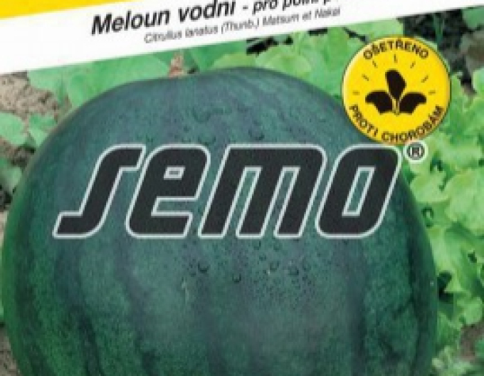 Semo Wassermelone Sugar Baby