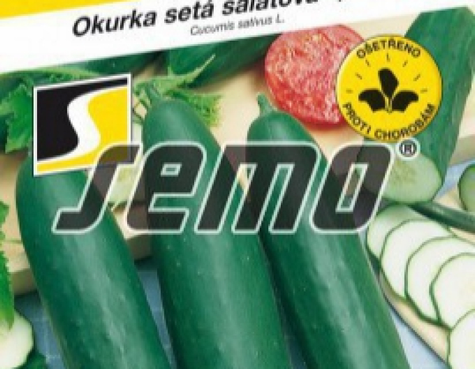 Semo Salatgurke Linda F1 Mix