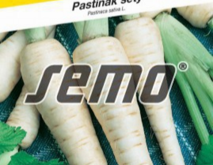 Semo  Pastinake Langer Weißer