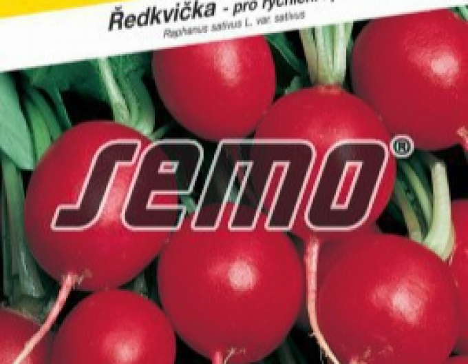 Semo Radieschen Prima