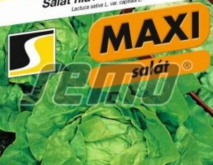 Semo Sommersalat Jupiter