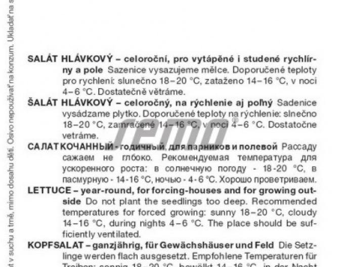 Semo Kopfsalat Batavus