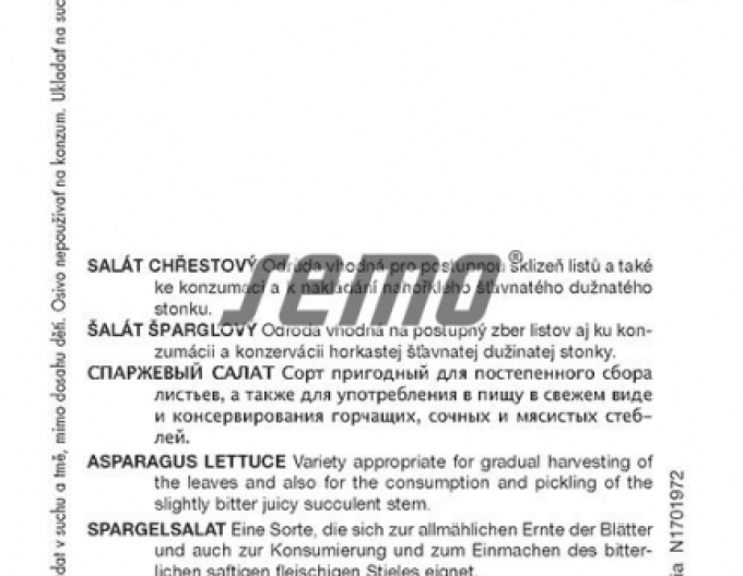 Saatgut Spargelsalat Celtuce