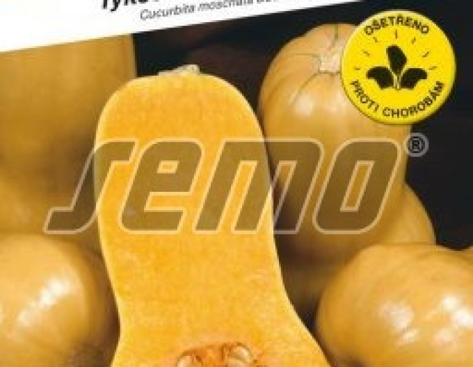 Semo Muskatkürbis Stella F1