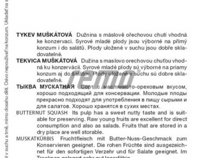 Semo Muskatkürbis Stella F1