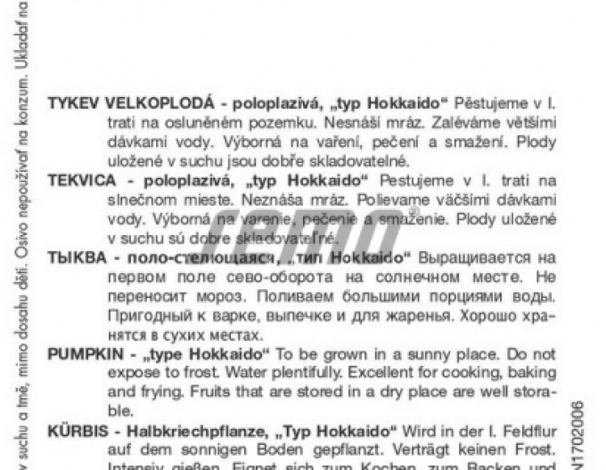 Semo Riesenkürbis Amoro F1