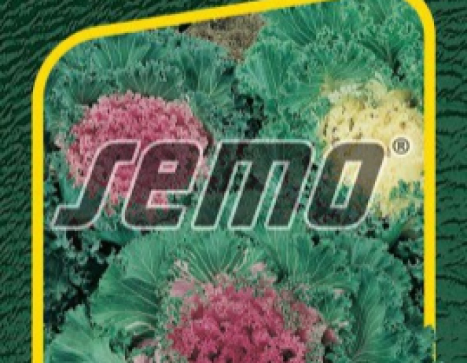 Semo Zierkohl Mix