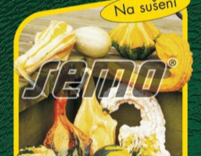 Semo Zierkürbis ‚Engelsflügel‘