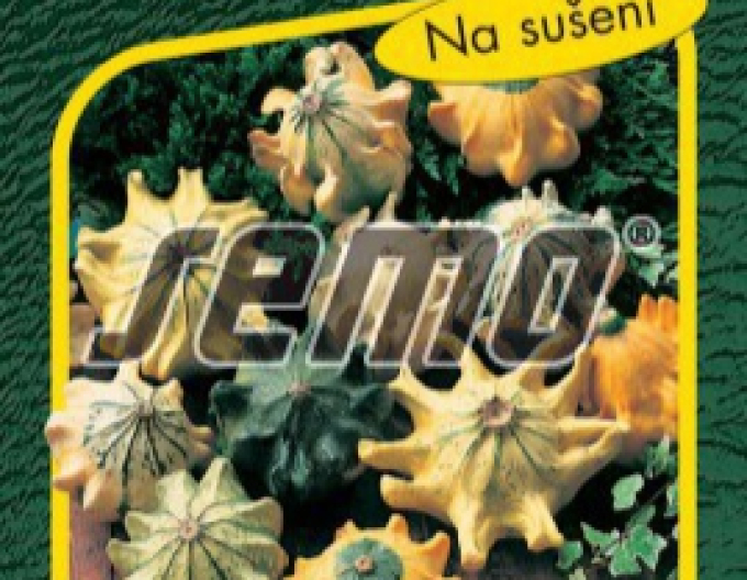 Semo Zierkürbis ‚Dornenkrone‘