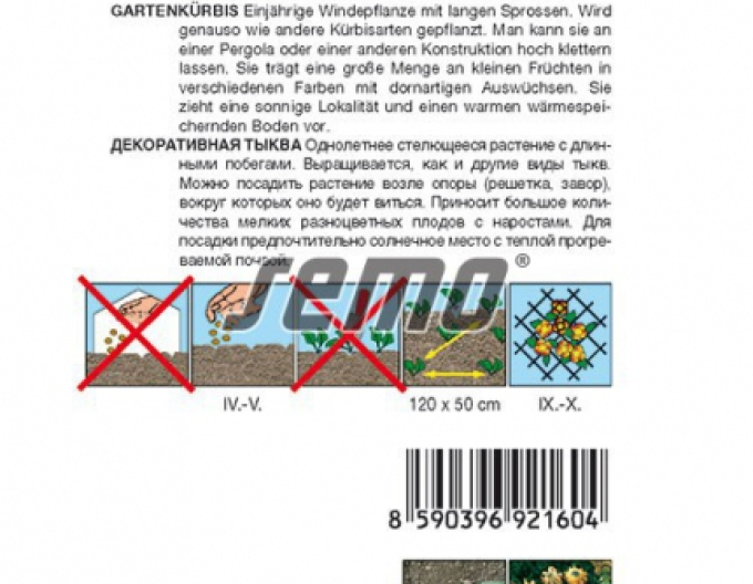 Semo Zierkürbis ‚Dornenkrone‘