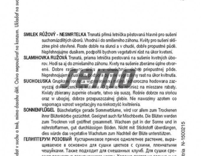 Semo Helichrysum Rosa